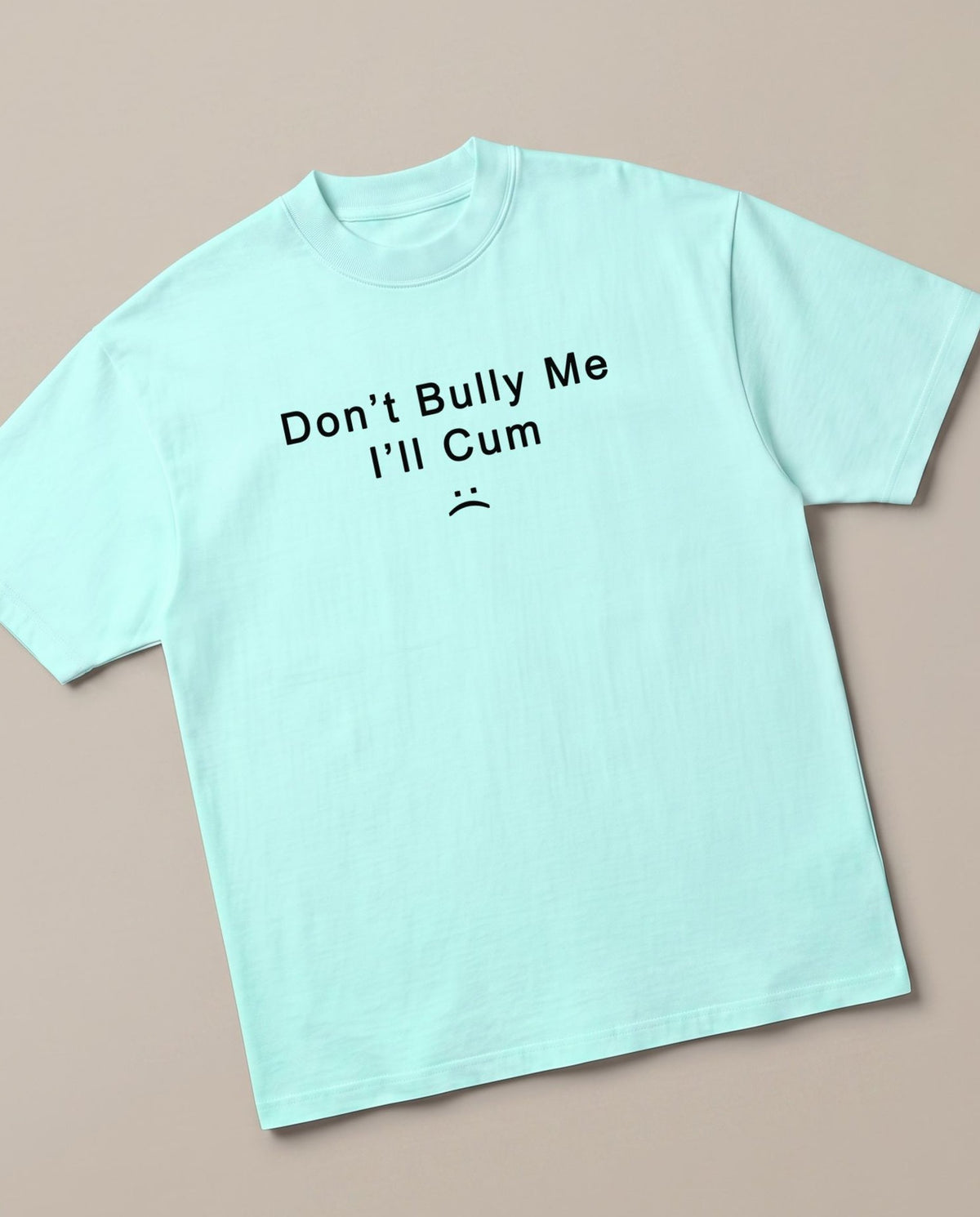 Don't Bully Me Mint oversized t-shirt — dont bully me i will cum, angled view