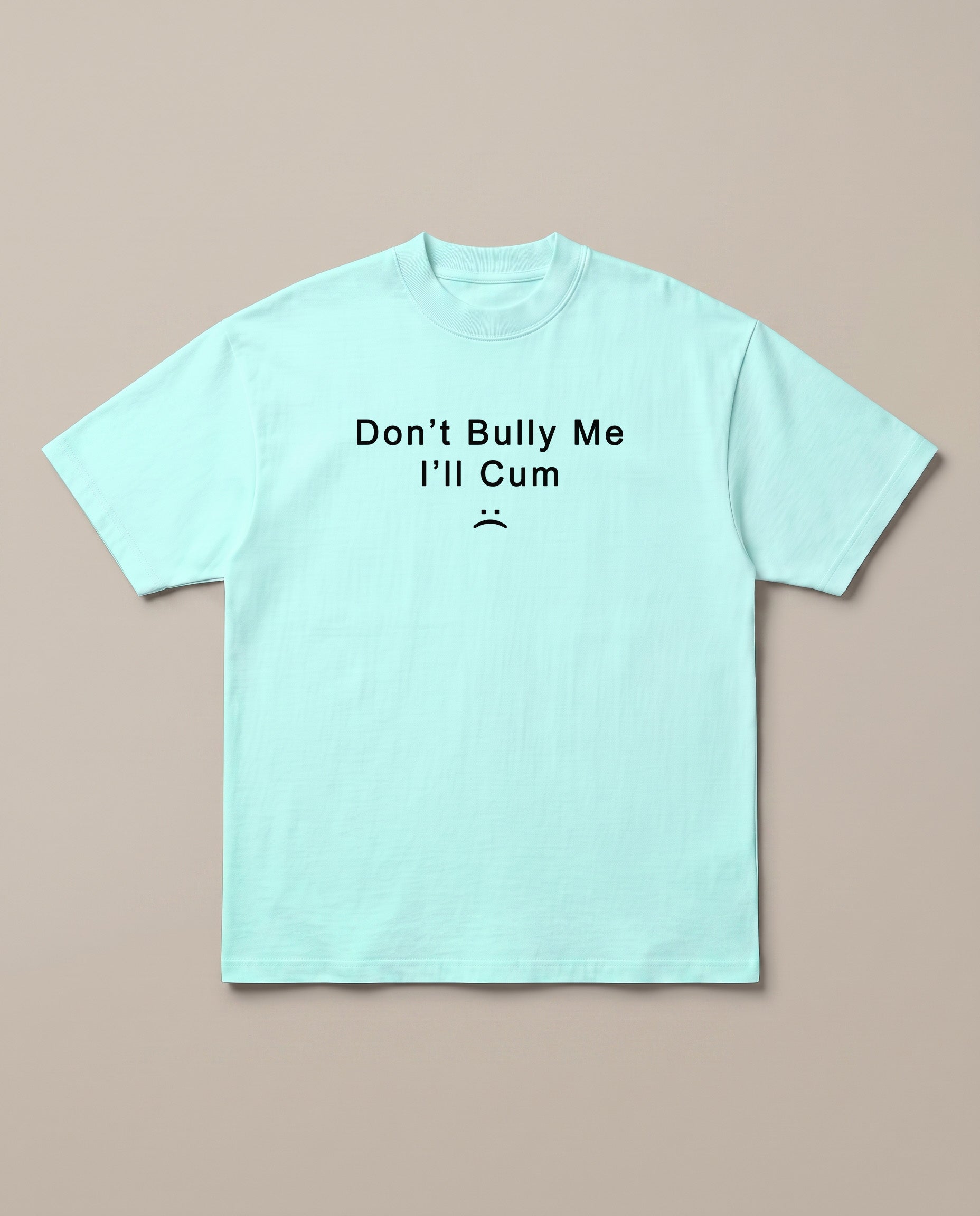Don't Bully Me Mint oversized t-shirt — dont bully me i will cum, front print