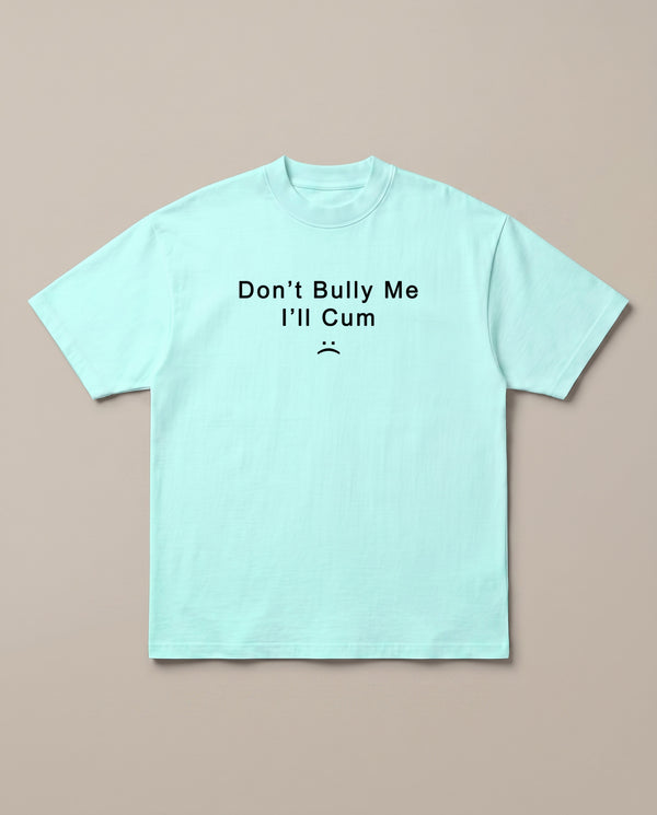 Don't Bully Me